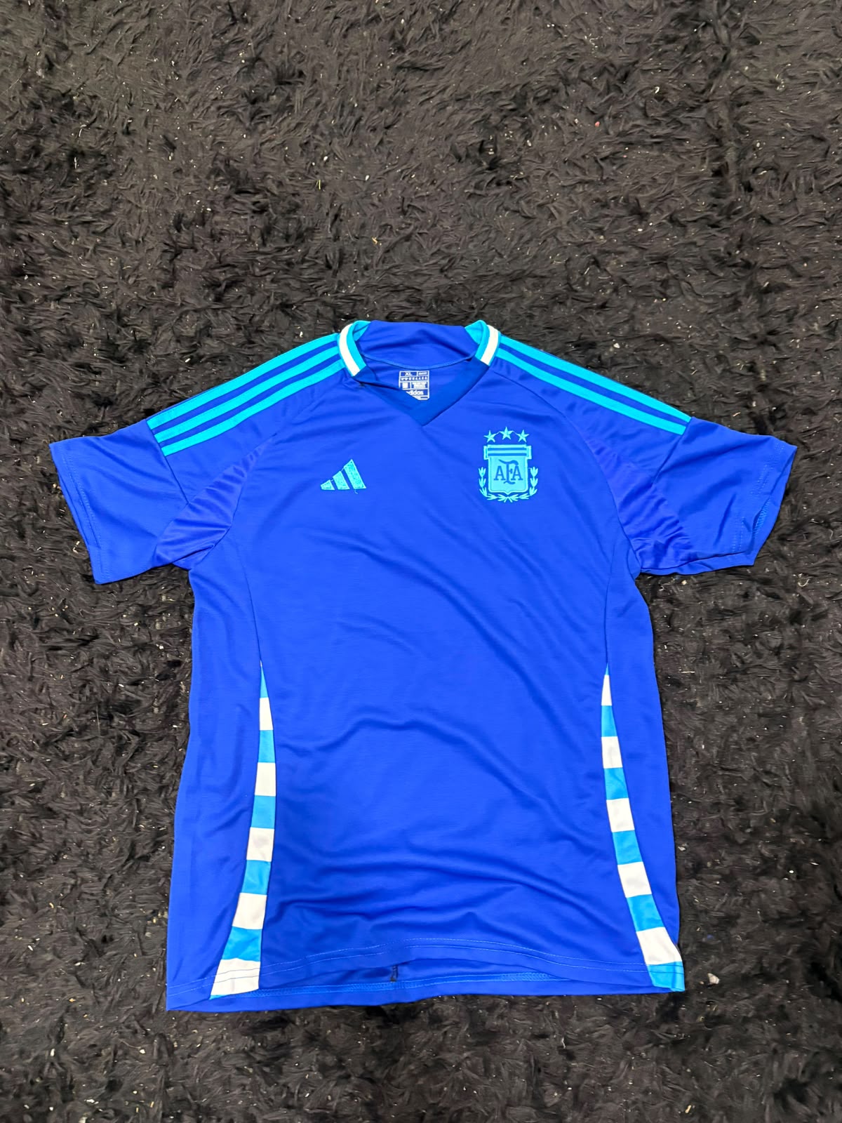 Argentina Copa America